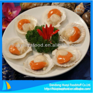 excellent frozen superior scallop meat fine exporter